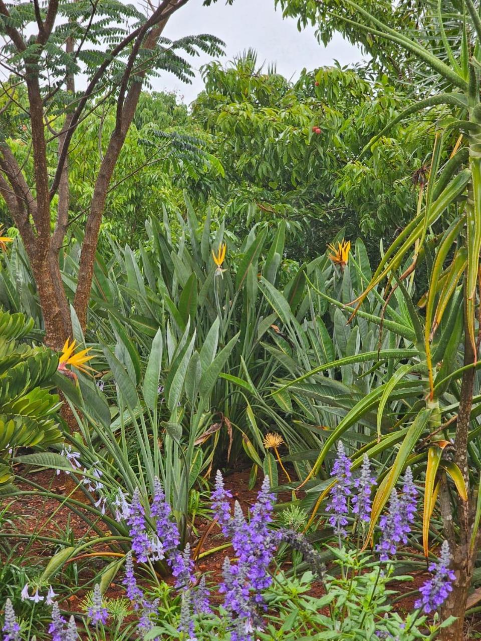 Tzaneen White House Lodge Εξωτερικό φωτογραφία
